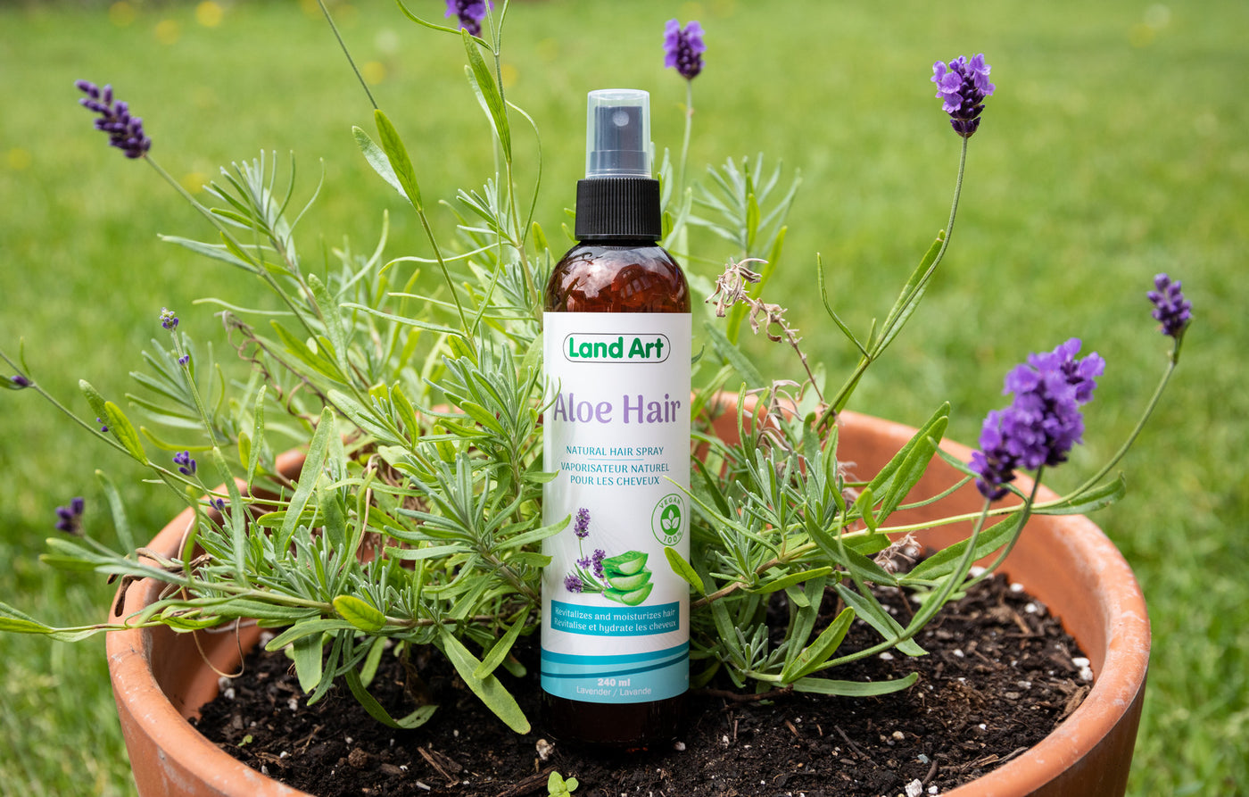 Découvrez Aloe Hair de Land Art