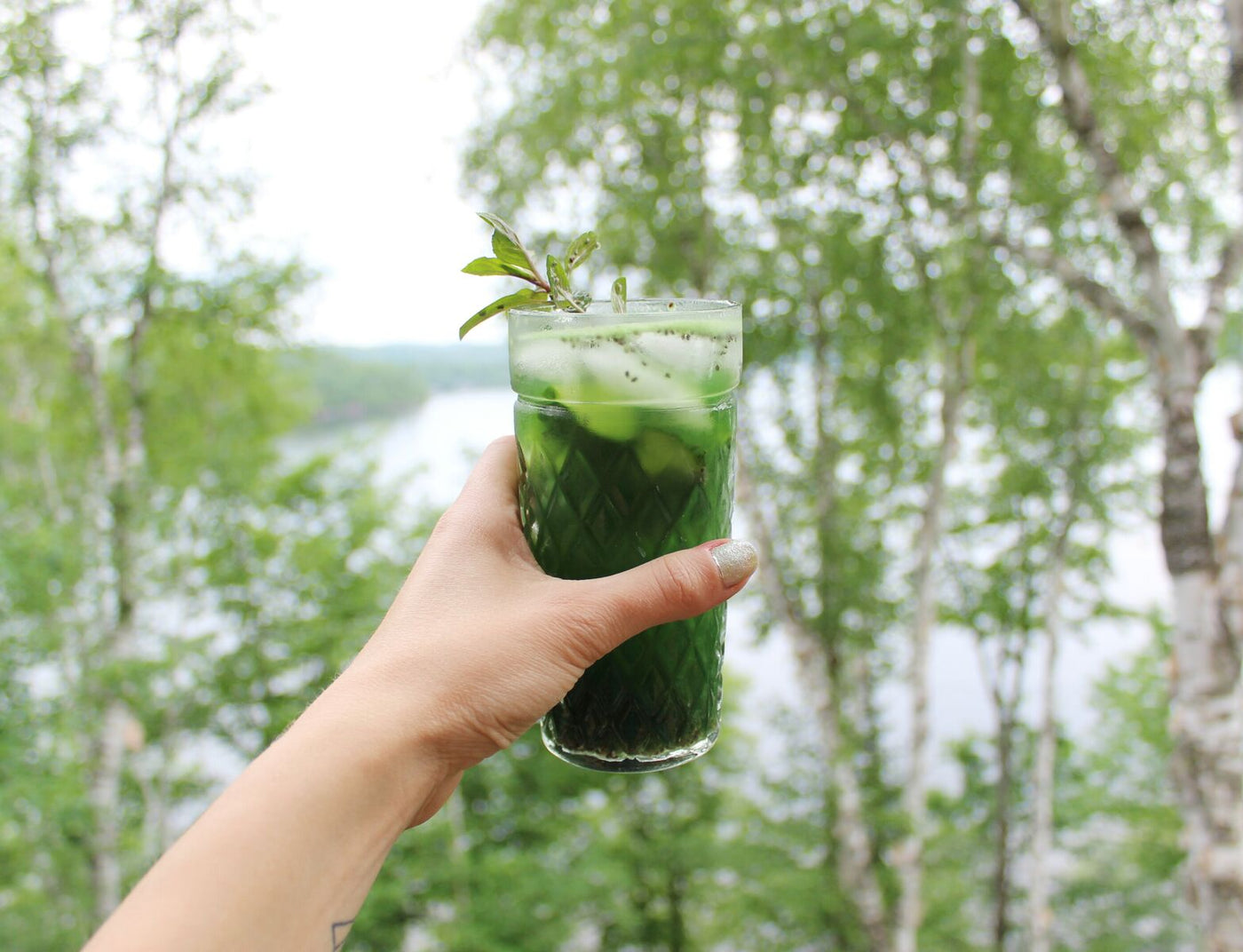 Chia fresca concombre-chlorophylle