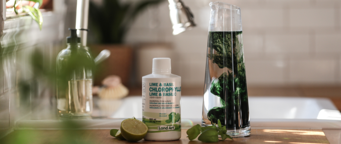 La Chlorophylle : Bienfaits et origines