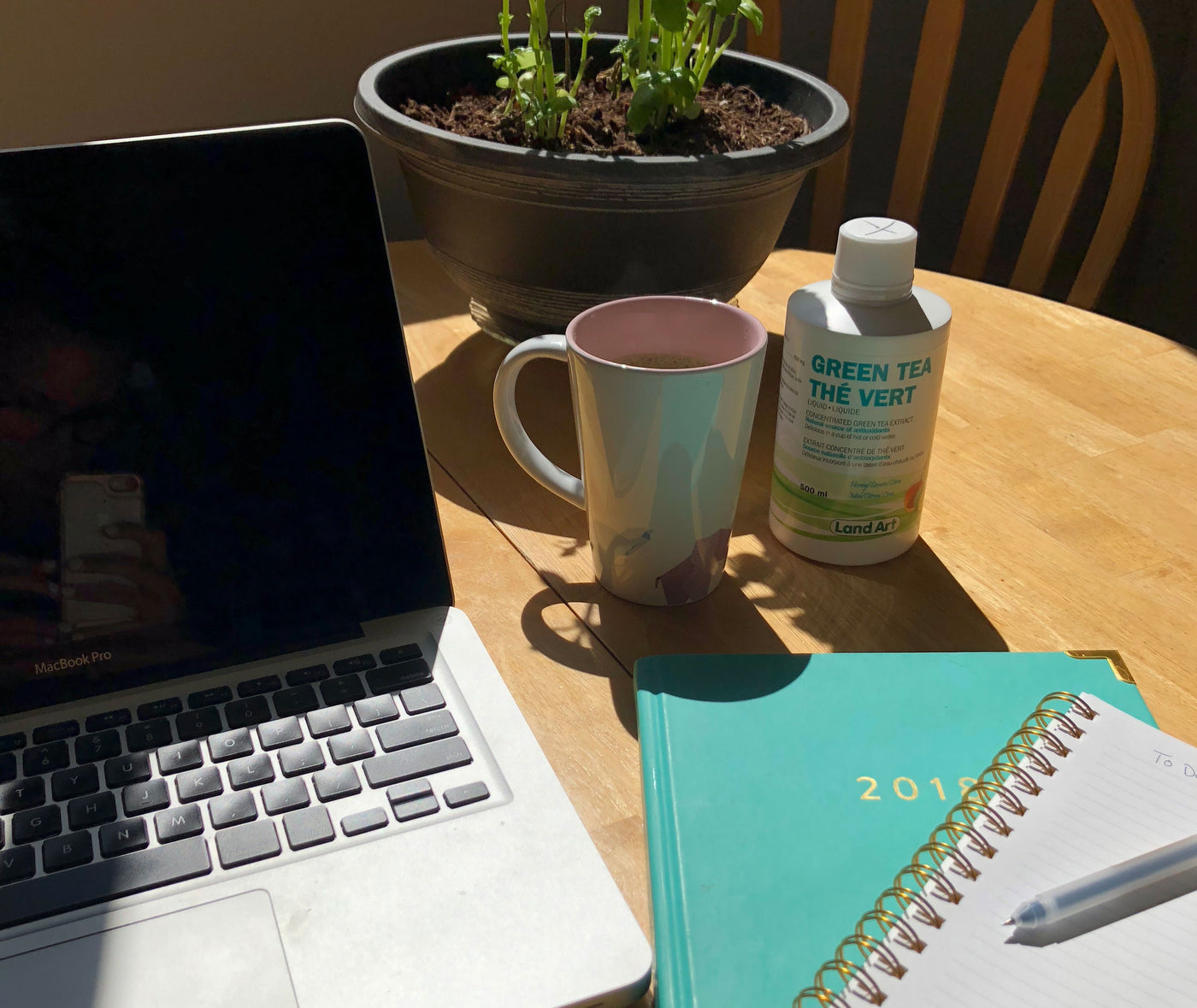 Le thé vert : l&rsquo;antioxydant énergisant !