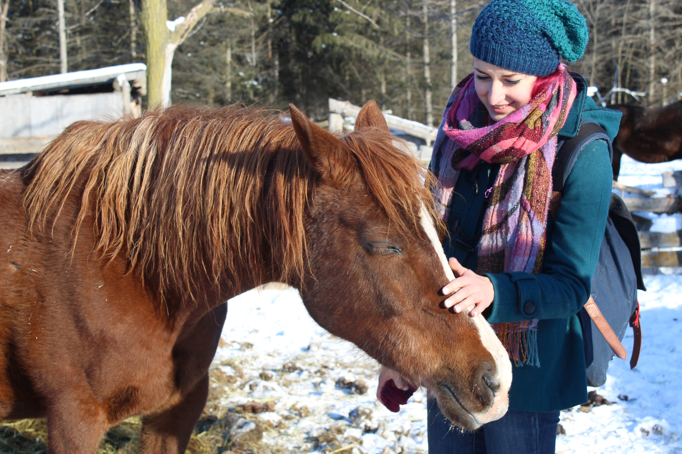 Être végétarien, végétalien ou végane… un style de vie de plus en plus populaire?