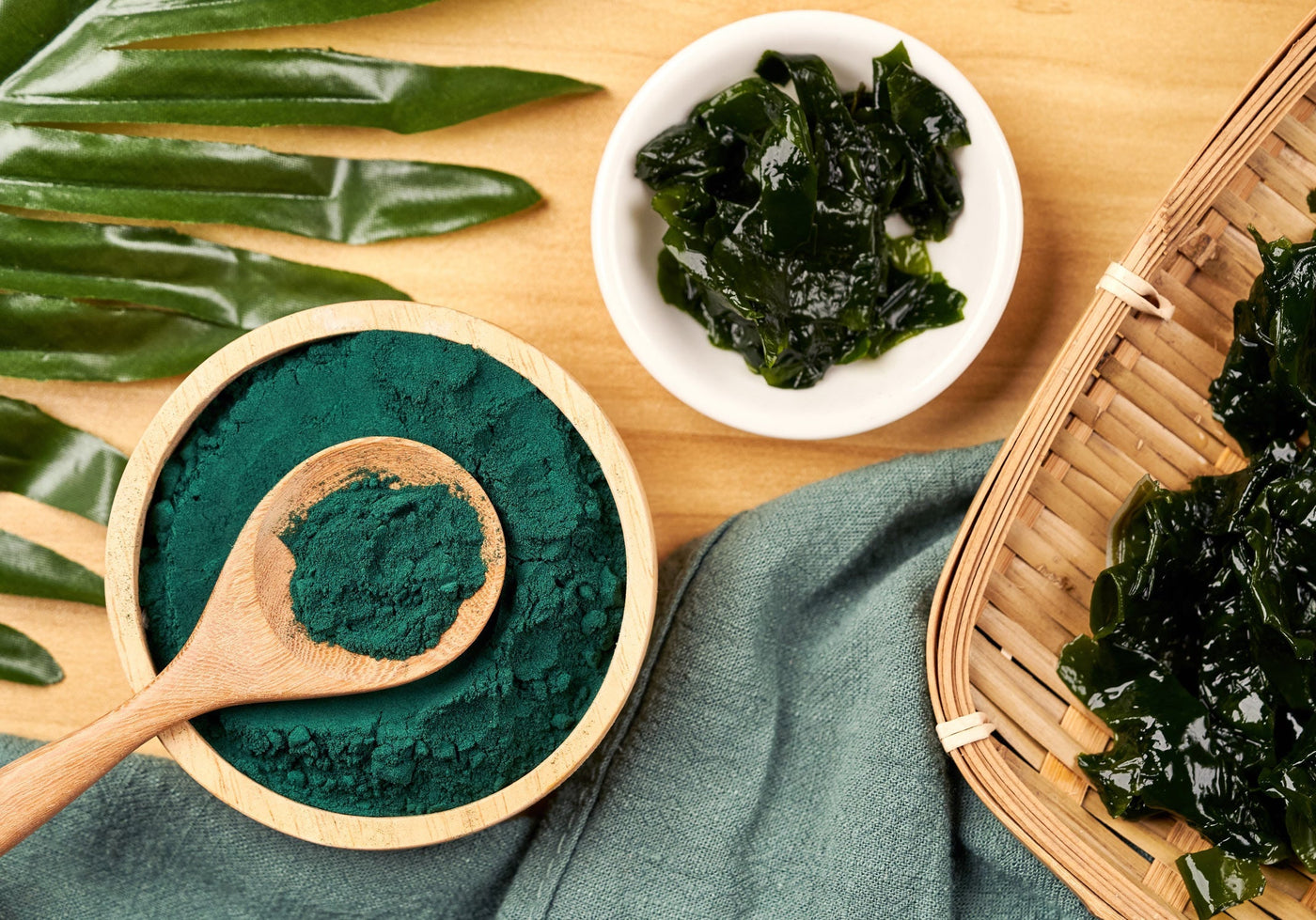 La Spiruline : Un superaliment aux multiples bienfaits