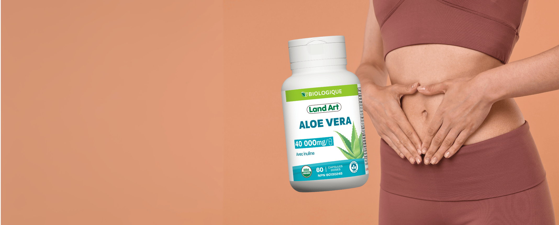 L’Aloe Vera et la Digestion : Bienfaits, Formes et Produits disponibles