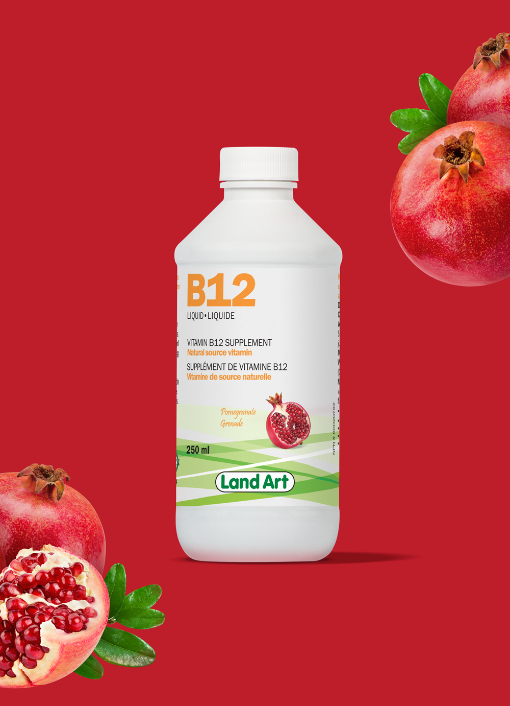 Petit aide-mémoire sur la vitamine B12