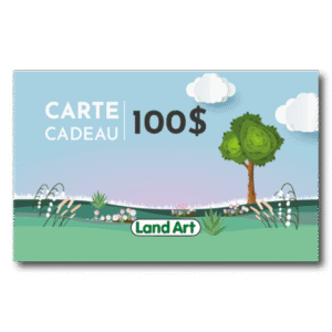 Carte cadeau 100 $
