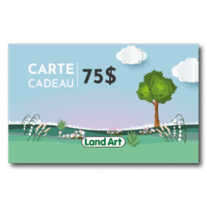 Carte cadeau 75 $