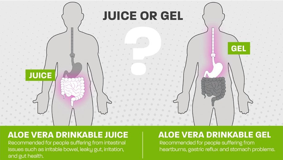 aloe vera land art range