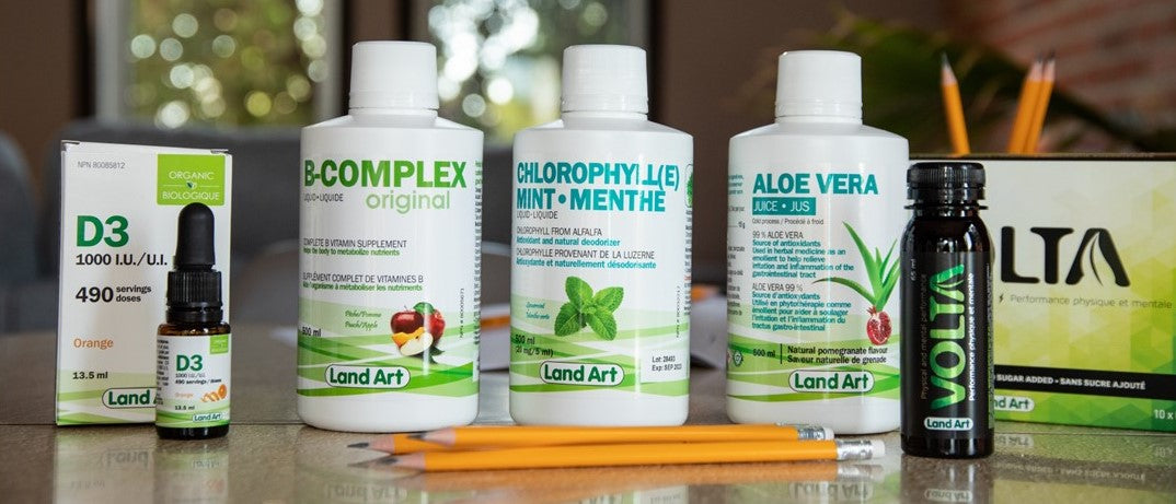 back to school bundle